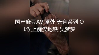 国产麻豆AV 番外 无套系列 OL误上痴汉地铁 吴梦梦