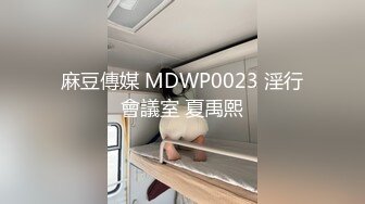 麻豆傳媒 MDWP0023 淫行會議室 夏禹熙