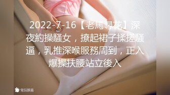 诱人的老婆 就是奶小了点