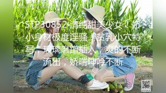 兔子先生 背德妻丈夫下属的侵犯