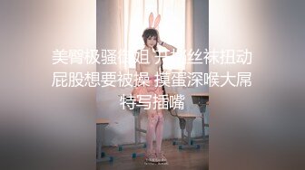 美臀极骚御姐 开档丝袜扭动屁股想要被操 摸蛋深喉大屌特写插嘴