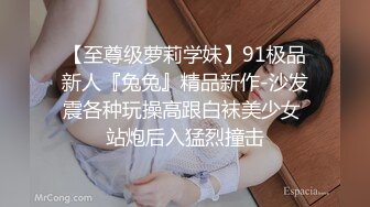 PME289 蜜桃影像传媒 巨乳母亲给我的性指导 李蓉蓉