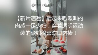 STP32249 麻豆传媒 MD0200-2 隐秘的角落 下集 夏晴子