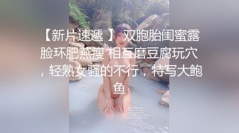 泄密流出 反差母狗 极品巨乳萝莉极致口活