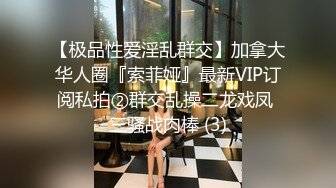 【极品性爱淫乱群交】加拿大华人圈『索菲娅』最新VIP订阅私拍②群交乱操二龙戏凤 三骚战肉棒 (3)