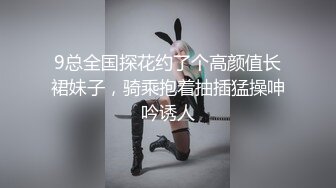 你的可爱小女仆已上线