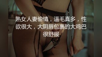 私房偷拍大神三只眼失联前最后流出作品商场麦当劳女厕商场尾随跟拍左美穴右白虎