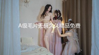 A级毛片无码久久精品免费