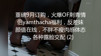  车模下海激情夜大长腿美女小姐姐，被纹身男各种姿势操，蹲着特写舔屌