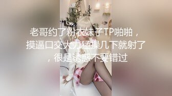 重磅炸弹 全是高端美模 龙印象 多位嫩模大尺度视频写真合集[403P+9V/675M]