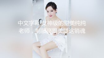 中文字幕 女神级的甜美纯纯老师，制服高跟美腿这销魂