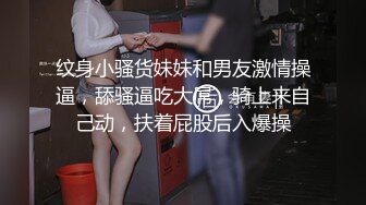 顶级性爱视觉盛宴⑥！淫趴大神【醉奶逃逸】双飞4P两位极品身材骚女，各种帝王式玩法，人体蜈蚣叠插排插惊爆眼球 (3)