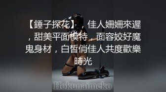 - 较小可爱萝莉女仆试图勾引我进入她的身体