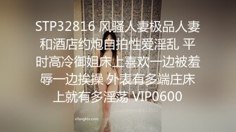 情趣房女仆炮友3