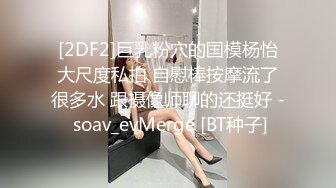 蜜桃影像傳媒 PMC316 大胸騷婦做愛抵租 娃娃