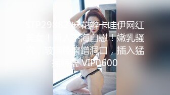 网上约到极品美女，后入狠狠干