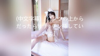 天美传媒TM0166性爱笔记EP3-伊婉琳 熙熙【MP4/273MB】