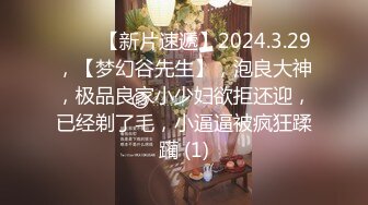 【超美颜值美艳女神】秀人超人气女神『杨晨晨』车内痴汉黑丝长腿极致魅惑 女仆装性感诱人 自摸揉胸