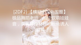 2024一月最新流出❤️厕拍极品收藏✿新年巨献✿巅峰视角系列✿商场后拍几个颜值还可以的顾客