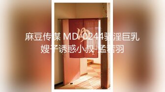 麻豆传媒 MD-0244骚淫巨乳嫂子诱惑小叔-孟若羽