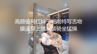 台湾SWAG_ninibaby_開車中做愛_行駛中性愛_粉絲父子聯手幹妮