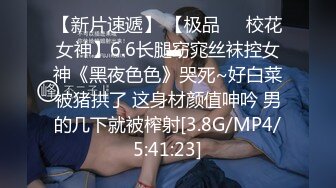 我的女装日记之勾引司机