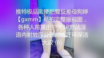 推特极品蛮腰肥臀反差母狗婷【gxmm】私拍完整版视图，各种人前露出户外3P野战淫语内射放尿公园打炮吓坏保洁大叔 (6)