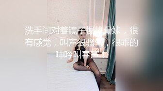 骚老婆，浪叫精品