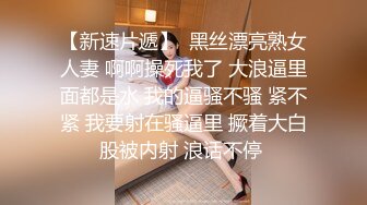  顶级黑丝美腿爆乳女神，诱惑指数9分，情趣套装吊带丝袜，露出美臀跪着摇摆，揉搓多毛骚逼