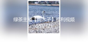 绿茶主播【肉木子】福利视频55V (2)