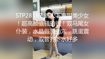 STP28597 新人下海甜美少女！超高颜值骚的很！双马尾女仆装，水晶假屌插穴，跳蛋震动，双管齐下水好多