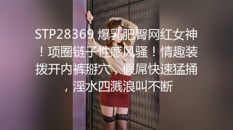  花臂纹身美少女小男友居家操逼坚挺白嫩美乳，蹲着抓屌吸吮，骑乘位操肥唇骚穴，操完再自慰