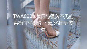 TWA0028.某日与很久不见的青梅竹马相遇.下集.SA国际传媒