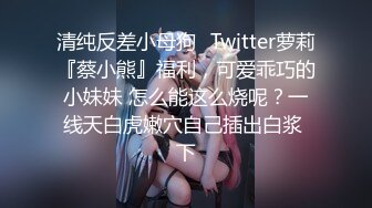 清秀欲女诱惑女仆装无套啪啪