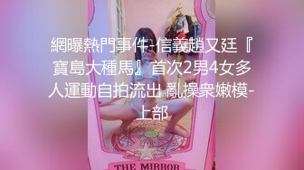  2023-02-19 蜜桃影像EMTC-016在燠热的夏天和巨乳媳妇激干