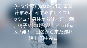 国产麻豆AV MDJ MDJ001 EP3 淫兽寄宿家庭 陈美惠